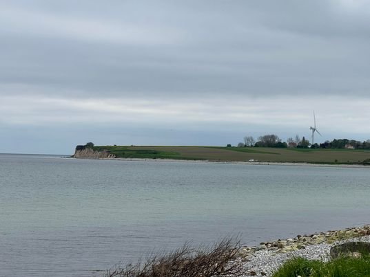 Ærø uge 19, 2024. Stemminsgbilleder