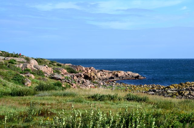 Løvfaldstræf Bornholm 2023