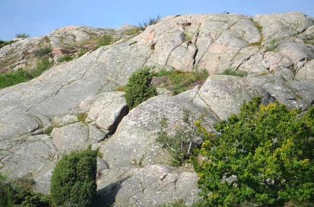 Løvfaldstræf Bornholm 2023