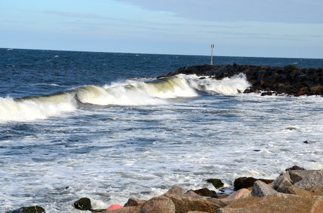 Løvfaldstræf Bornholm 2023