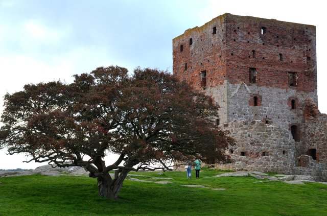 Løvfaldstræf Bornholm 2023